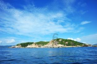 失忆的流浪者